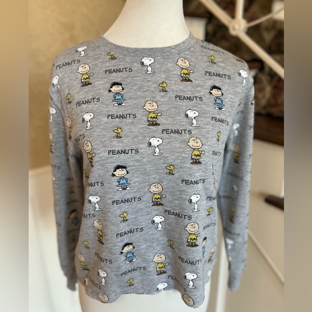 Super soft Peanuts themed gray sweatshirt size M. So fun!